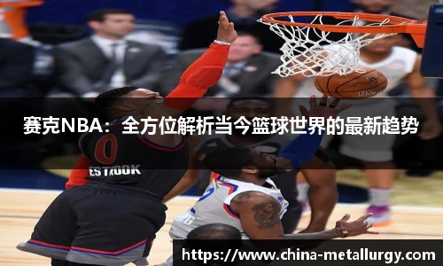赛克NBA：全方位解析当今篮球世界的最新趋势